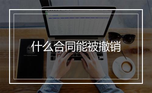 什么合同能被撤销