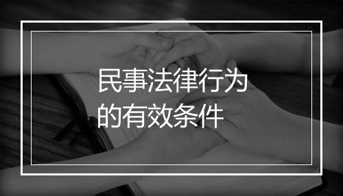 民事法律行为的有效条件