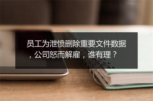 员工为泄愤删除重要文件数据，公司怒而解雇，谁有理？