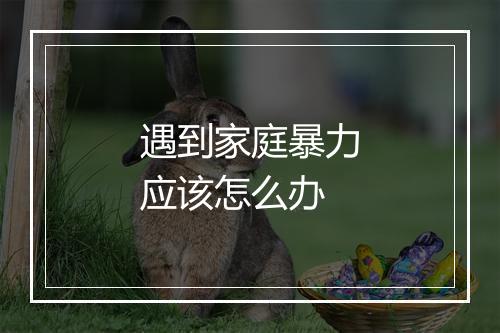 遇到家庭暴力应该怎么办