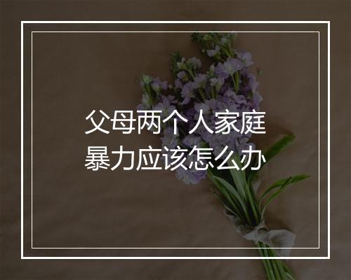 父母两个人家庭暴力应该怎么办
