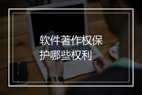 软件著作权保护哪些权利