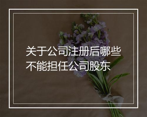 关于公司注册后哪些不能担任公司股东