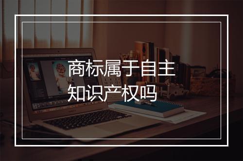 商标属于自主知识产权吗