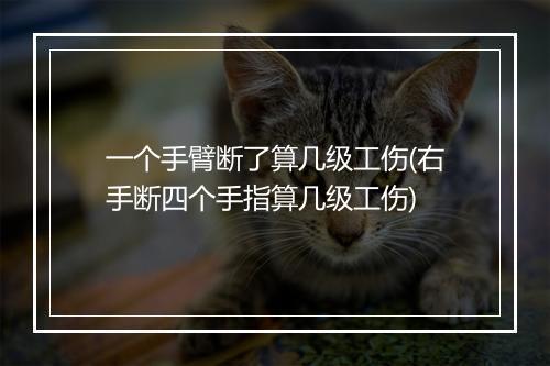 一个手臂断了算几级工伤(右手断四个手指算几级工伤)
