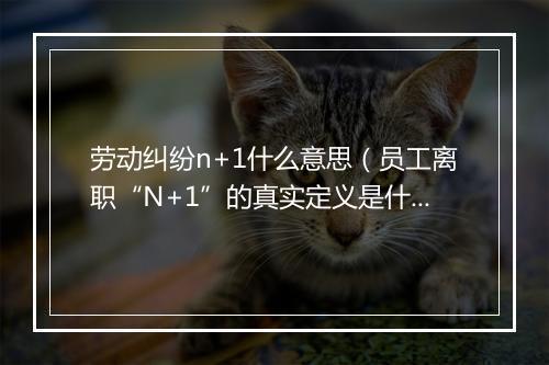 劳动纠纷n+1什么意思（员工离职“N+1”的真实定义是什么？）