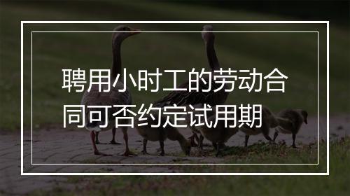 聘用小时工的劳动合同可否约定试用期