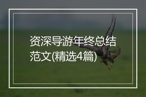 资深导游年终总结范文(精选4篇)