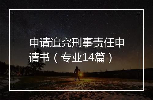 申请追究刑事责任申请书（专业14篇）