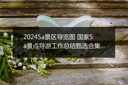 20245a景区导览图 国家5a景点导游工作总结甄选合集9篇