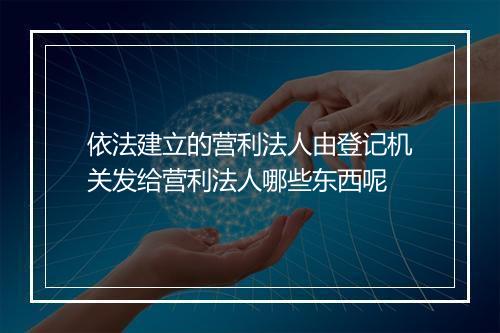 依法建立的营利法人由登记机关发给营利法人哪些东西呢