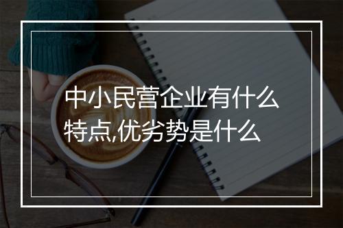 中小民营企业有什么特点,优劣势是什么