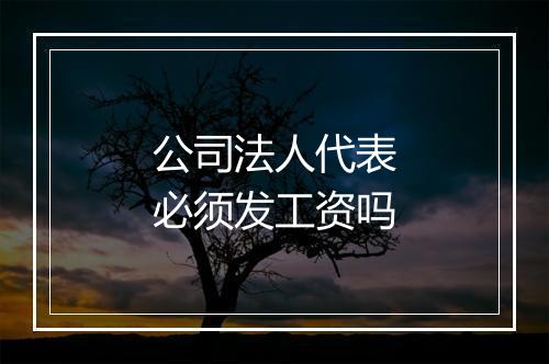 公司法人代表必须发工资吗