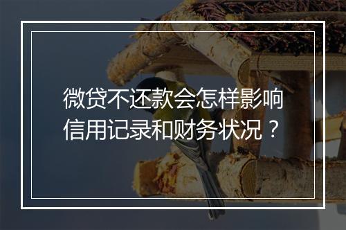 微贷不还款会怎样影响信用记录和财务状况？