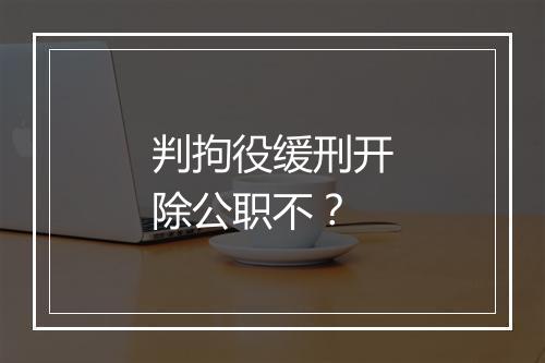 判拘役缓刑开除公职不？