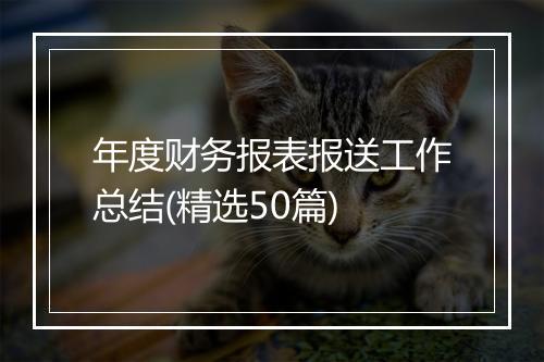 年度财务报表报送工作总结(精选50篇)