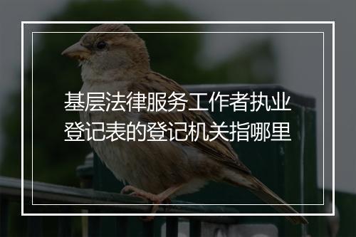 基层法律服务工作者执业登记表的登记机关指哪里
