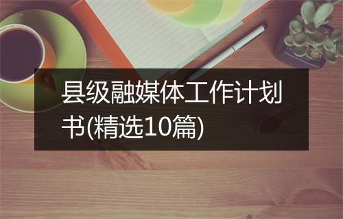 县级融媒体工作计划书(精选10篇)