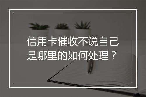 信用卡催收不说自己是哪里的如何处理？