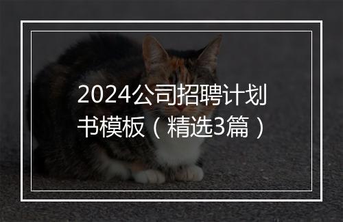 2024公司招聘计划书模板（精选3篇）