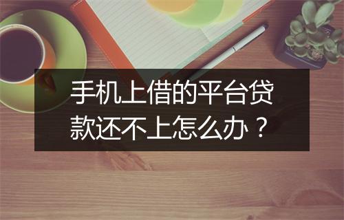 手机上借的平台贷款还不上怎么办？