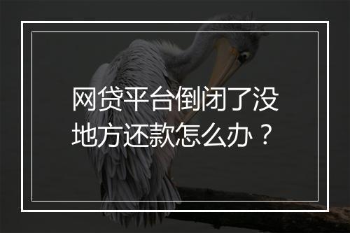 网贷平台倒闭了没地方还款怎么办？