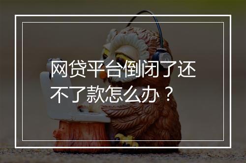 网贷平台倒闭了还不了款怎么办？