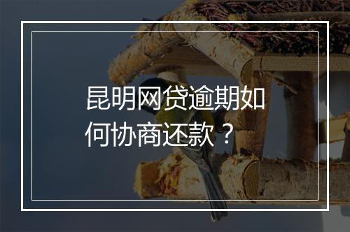 昆明网贷逾期如何协商还款？