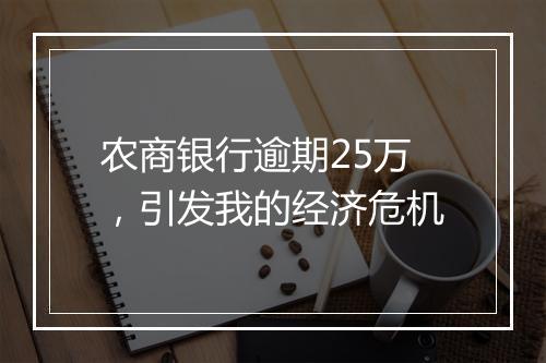 农商银行逾期25万，引发我的经济危机