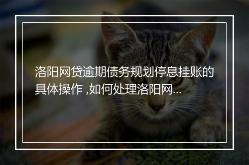洛阳网贷逾期债务规划停息挂账的具体操作 ,如何处理洛阳网贷逾期债务