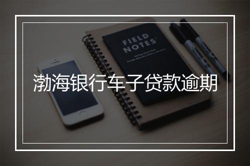 渤海银行车子贷款逾期