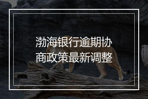 渤海银行逾期协商政策最新调整
