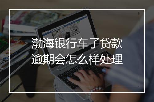 渤海银行车子贷款逾期会怎么样处理