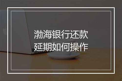 渤海银行还款延期如何操作