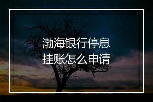 渤海银行停息挂账怎么申请