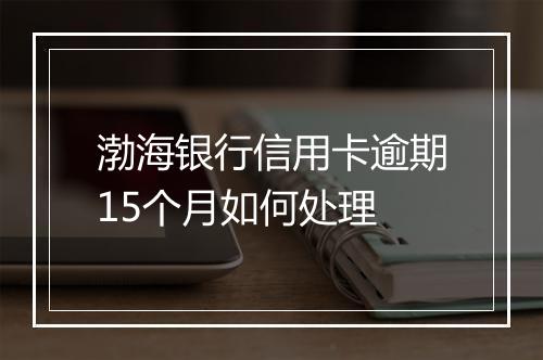 渤海银行信用卡逾期15个月如何处理