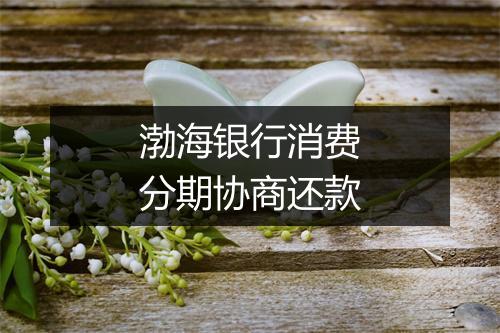 渤海银行消费分期协商还款