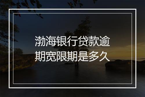 渤海银行贷款逾期宽限期是多久