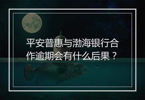 平安普惠与渤海银行合作逾期会有什么后果？
