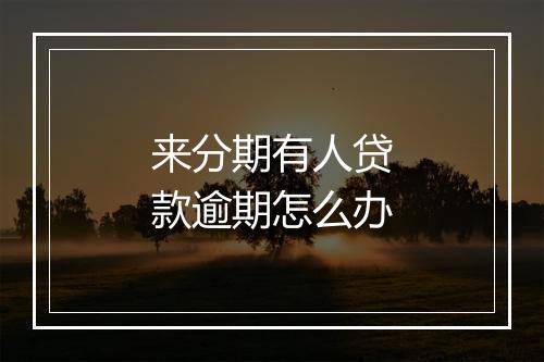 来分期有人贷款逾期怎么办