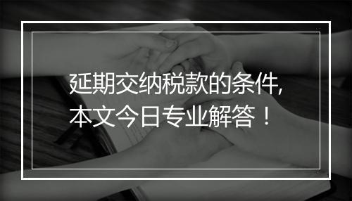 延期交纳税款的条件,本文今日专业解答！