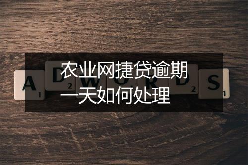 农业网捷贷逾期一天如何处理