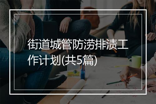 街道城管防涝排渍工作计划(共5篇)