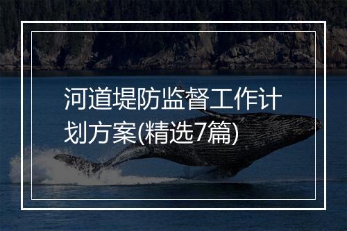 河道堤防监督工作计划方案(精选7篇)