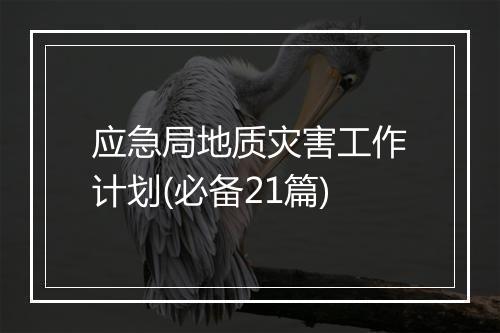应急局地质灾害工作计划(必备21篇)