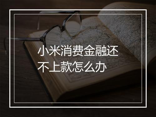 小米消费金融还不上款怎么办