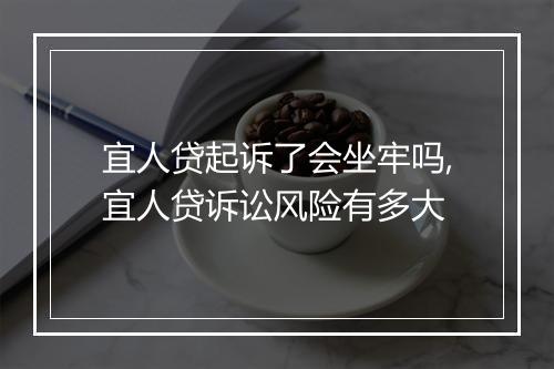 宜人贷起诉了会坐牢吗,宜人贷诉讼风险有多大