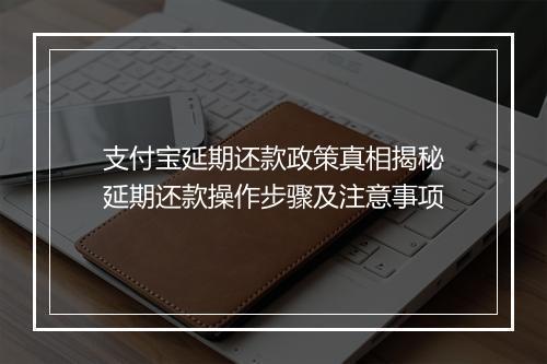 支付宝延期还款政策真相揭秘延期还款操作步骤及注意事项