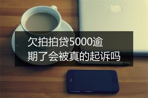 欠拍拍贷5000逾期了会被真的起诉吗