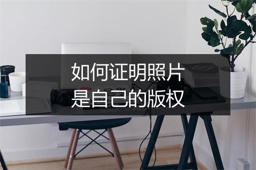 如何证明照片是自己的版权